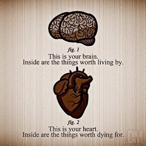 Brain & Heart via Quotes and More Quotes