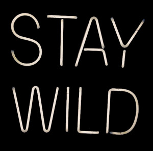 Stay Wild: Order Your Own Custom Neon Sign