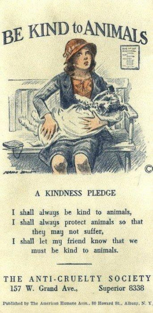BE KIND to ANIMALS - a kindness pledge