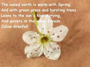 Spring famous quotes 7