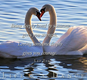 Swan love quote