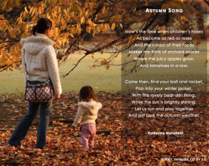 ... poems autumn leaves poem from the kite amp other poems autumn poetry