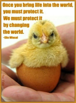 Elie Wiesel quote