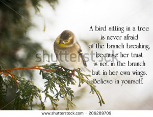 Inspirational quote on life with a pretty goldfinch perched on a ...