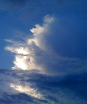 Angel in the Sky by Stacy Magee