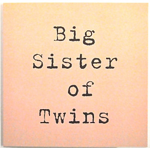 Happy Birthday Twin Sister Quotes