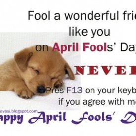 Fool A Wonderful Friend Like You On April Fools Day