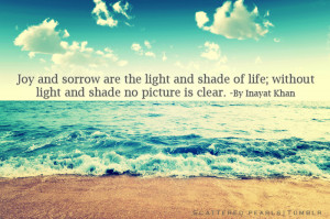 ... Of LIfe ,Without light And Shade No Picture Is Clear - Joy Quotes