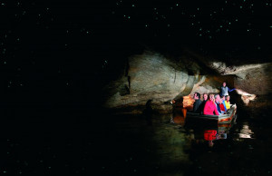 te-anau-glowworms-caves-17291.jpg