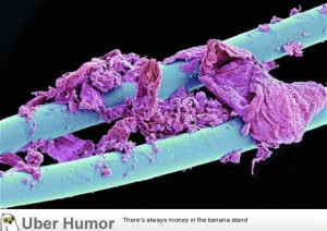 Pure beauty: Household objects magnified to stunning detail (35 ...