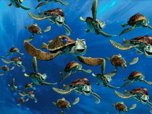 Finding Nemo Turtles