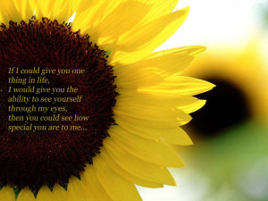 sunflower love quotes i love sunflowers