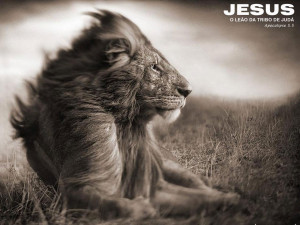 Leão da tribo de Juda 1280x960 Papel de Parede Wallpaper