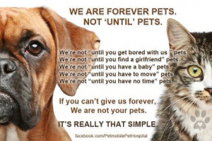 ABSOLUTELY! IF YOU CAN'T HELP & LOVE THEM... PLEASE DON'T HURT THEM ...