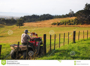 Rural Fences For Residental