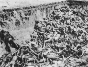 Photograph of victims of the typhus epidemic in a mass grave on the ...