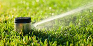 Average Sprinkler System Repair Cost