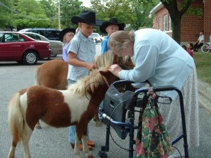 Halloween Pets Therapy Pet Horses