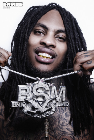 WAKA FLOCKA FLAME x DA VIBE – WHAT THE FLOCK ?