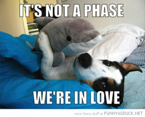 dog animal cuddling hugging dolphin soft toy not phase in love funny ...