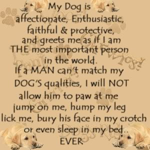 http://www.pics22.com/my-dog-is-affectionate-dog-quote-for-fb-share/
