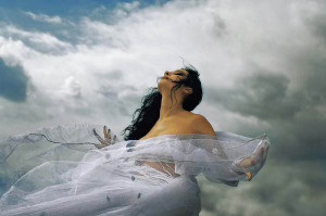 The wind chimes through the tree tops like a lonely musician,