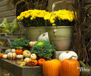 As I look outside through my frost splattered window