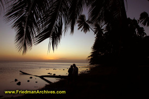 silhouette,sunset,dusk,dawn,romance,hawaii,palm,sunrise,sky,water ...