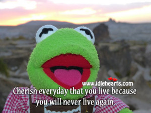 Cherish everyday that you live because you will never live again.