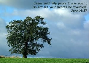 My Peace I Give you do not let your Hearts be Troubled – Bible Quote