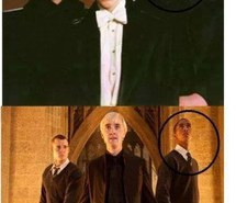 Tags Harry Potter Tom Felton...