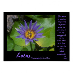 Lotus Poster with quotes from Sai Baba