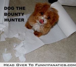 Dog the bounty hunter. baa haa haa