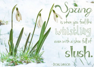 Spring Snow Funny Quotes