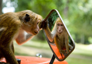 great” investors miss serious flaws when they look at the “Man ...