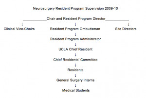administration and supervision theories
