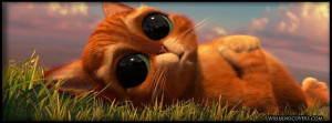 Cute Facebook Covers, Cute Facebook Cover, Cute Facebook Covers,