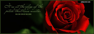 Red Rose & Love Quote Cover