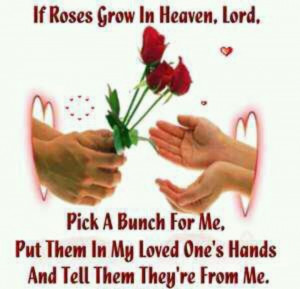If roses grow in heaven lord..etc..x