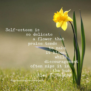 Great self-esteem quote