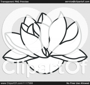 Black and White Lotus Flower Drawing HD Wallpaper