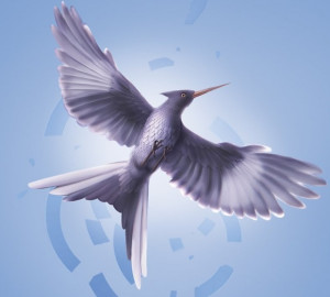 Mockingjay from 3rd book cover