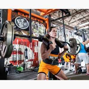 Home / elitefts™ Walk- Thru Monolift