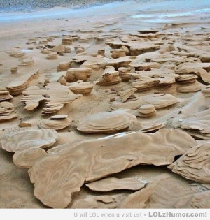 Funny Memes Incredible frozen sand formations forming along Lake ...