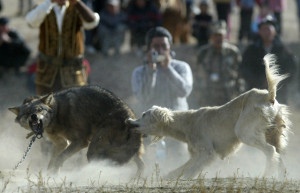 Kyrgyzstan and Manas Air Base
