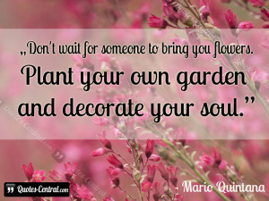 Don’t wait for someone to bring you flowers. Plant your own garden ...