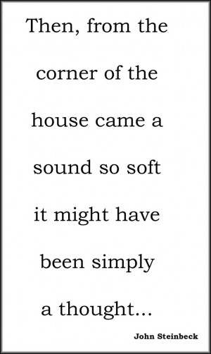 John Steinbeck • I would be so happy to have written this sentence!