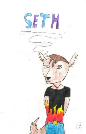 Seth Dingo by Aussie-Mozzie