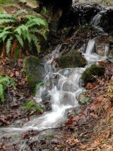 Our health and our happiness depend entirely on the amount of energy ...