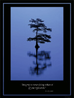 The Values of Excellence